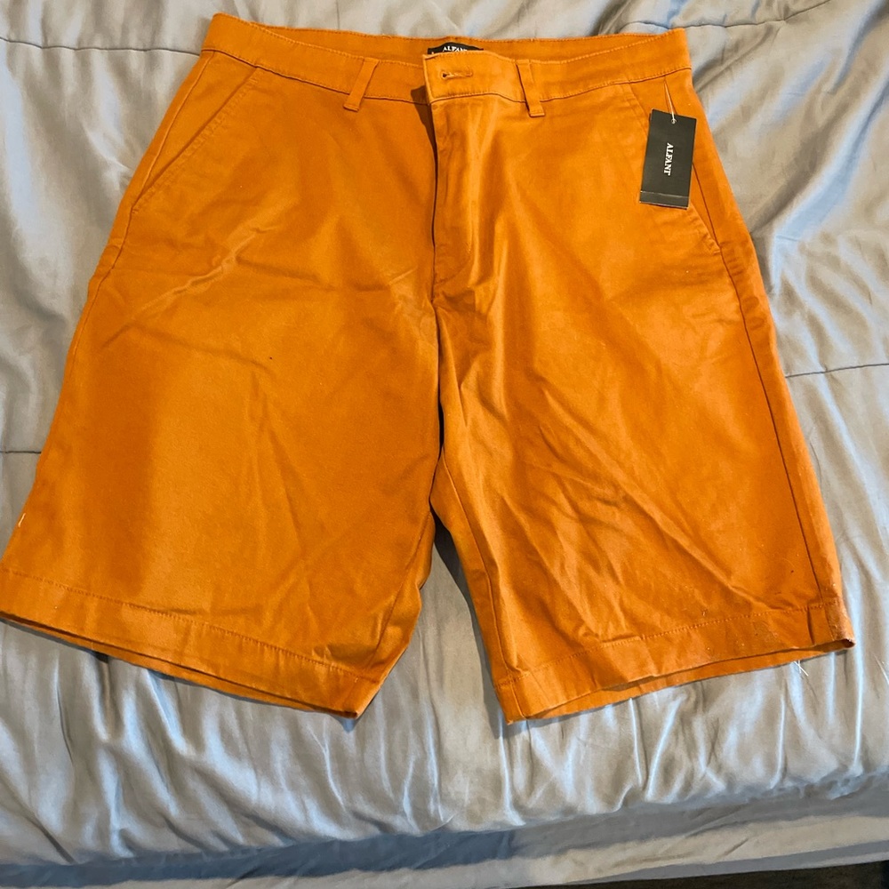 Alfani Shorts